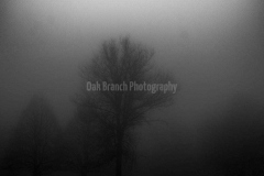 IMG_2397
