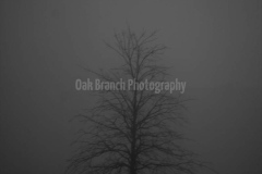 IMG_2400